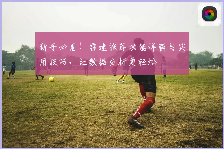 新手必看！雷速推荐功能详解与实用技巧，让数据分析更轻松